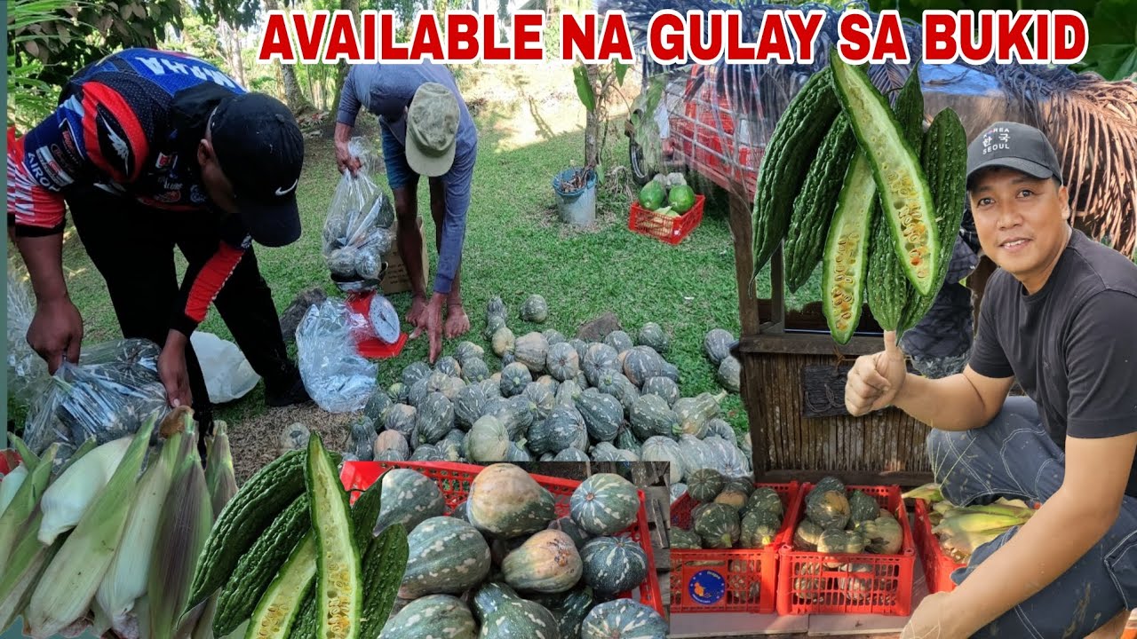 Dinarayo ng mamimili.Ito po ang avalable na mga gulay sa bukid po sa mga gusto bumili ng fresh gulay