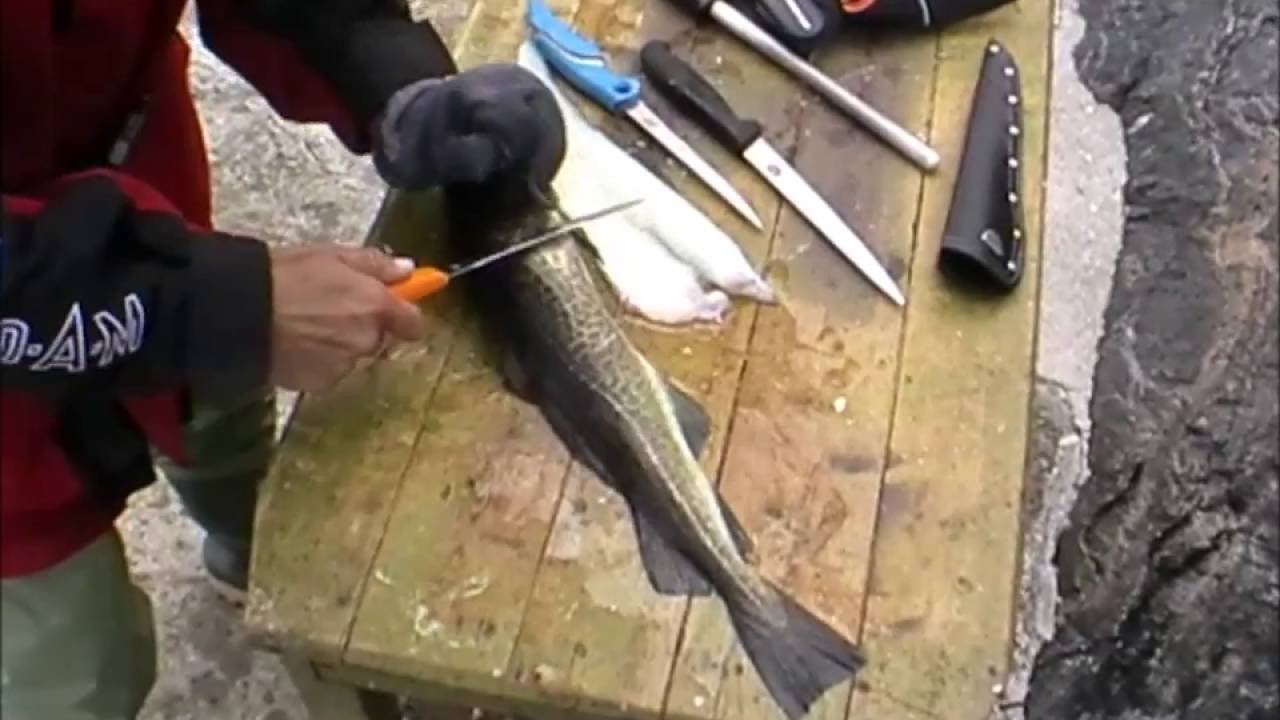 Victorinox Messertest