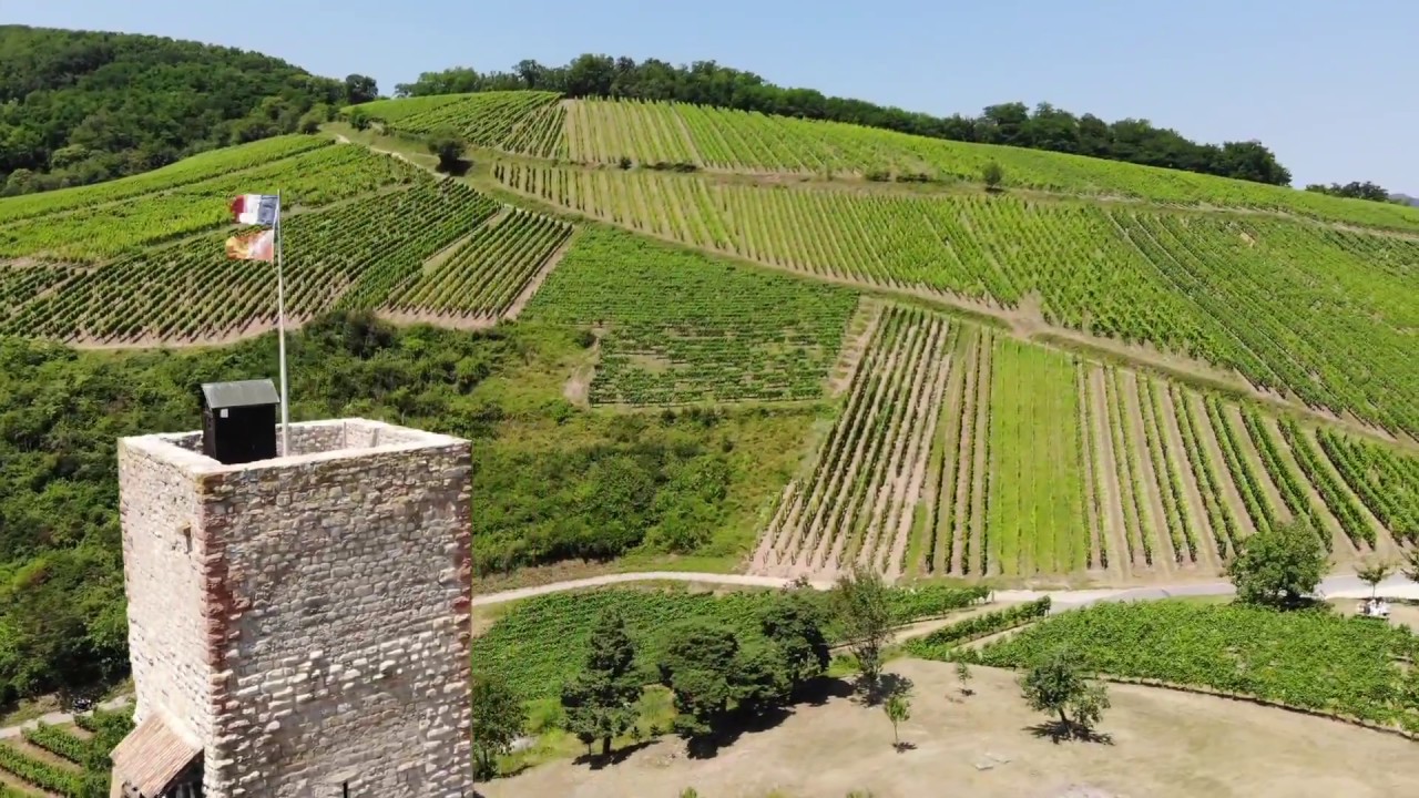 Alsace Grand Cru vineyards from the air!