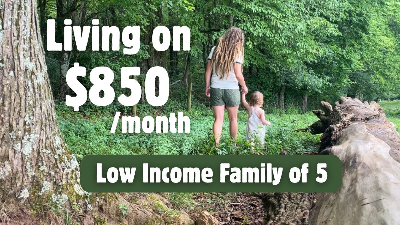 💰EXTREME BUDGET | Can You Be Happy Without Spending Money? #debtfree #frugalliving #offgrid