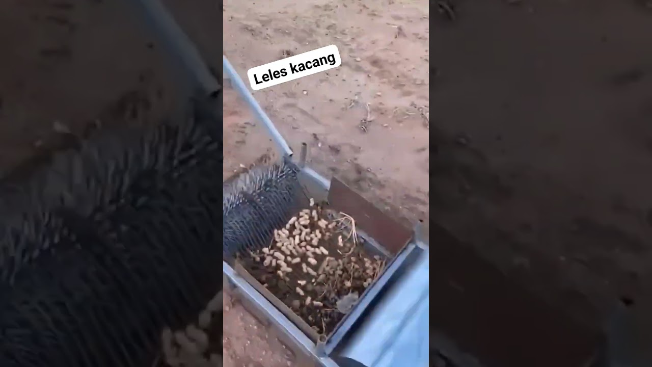 #pertania