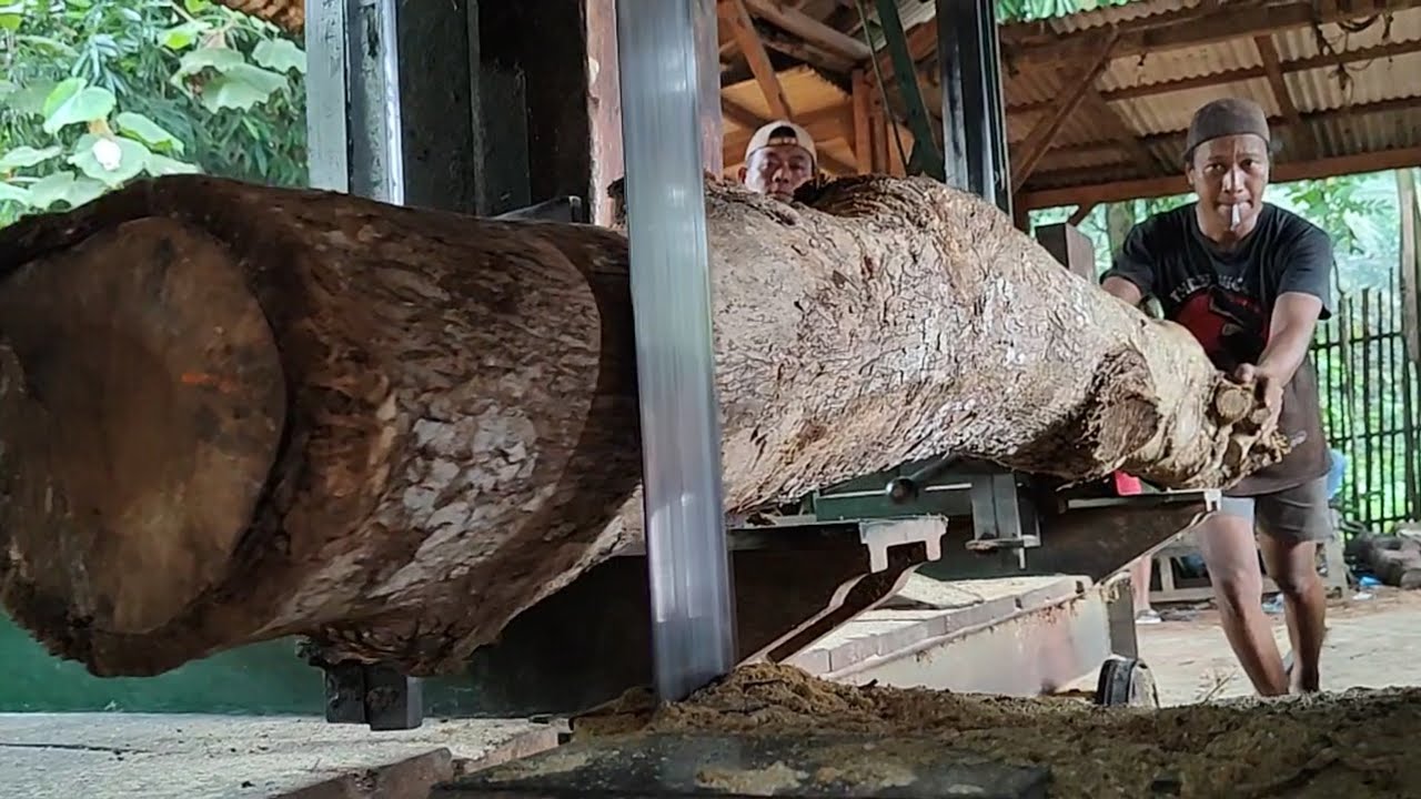 In the sawmill, even the branches must be split 