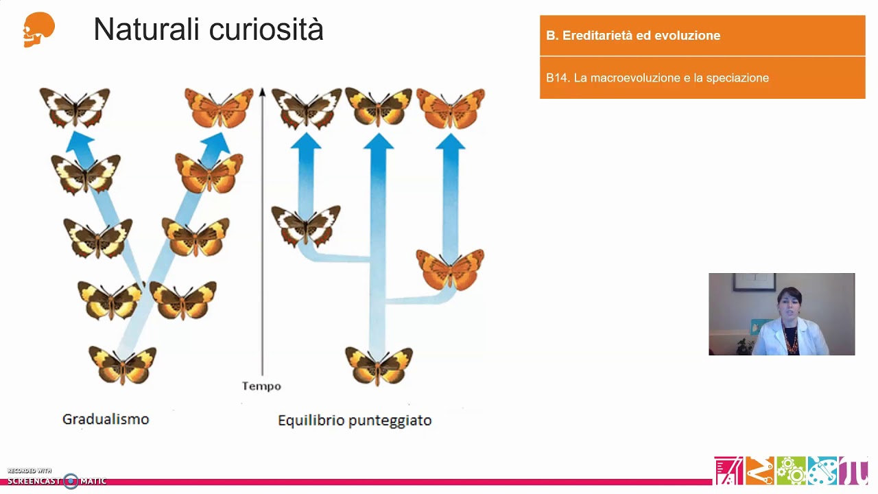 B14 . Ereditarietà ed evoluzione - La macroevoluzione e la speciazione