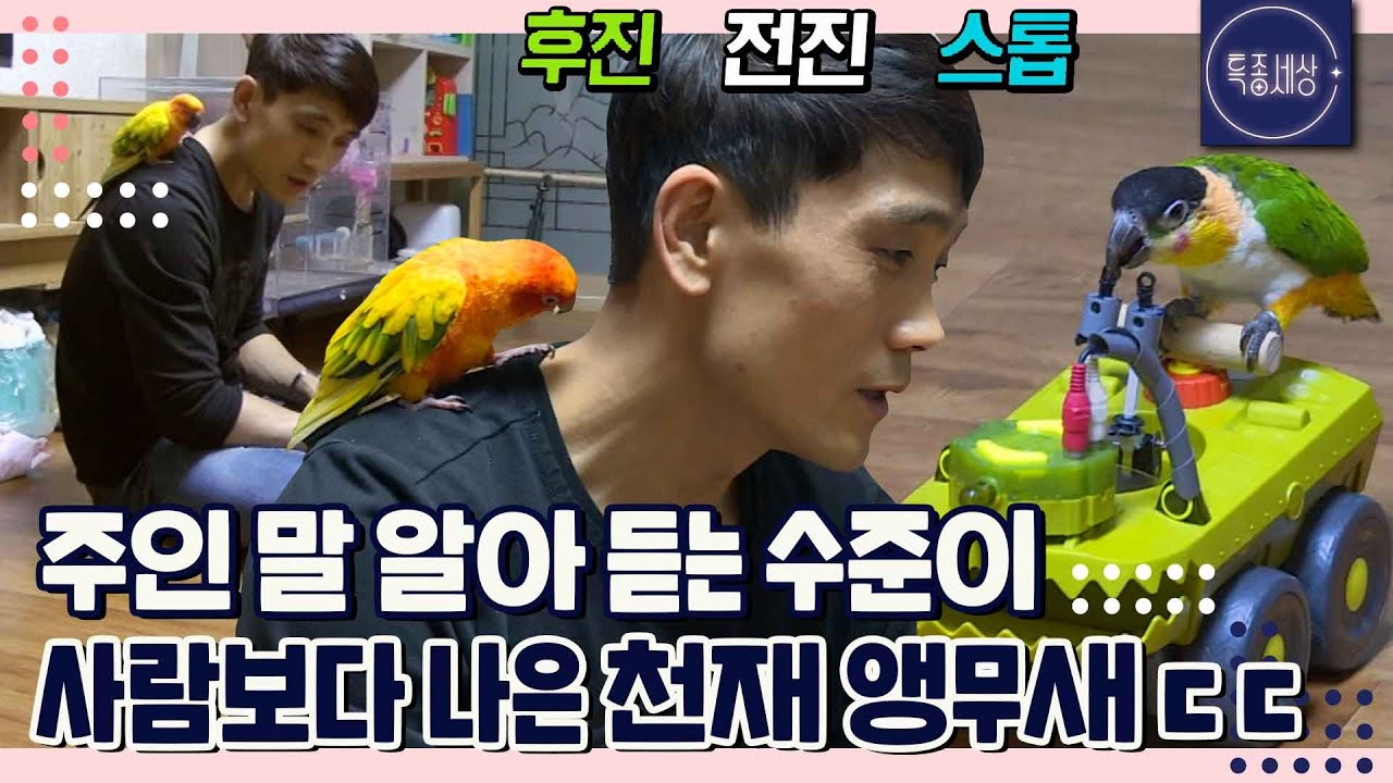 [FULL영상] 