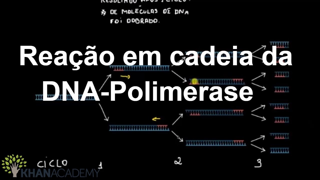 Rea&ccedil;&atilde;o em cadeia da DNA-Polimerase | Biotecnologia | Biologia | Khan Academy