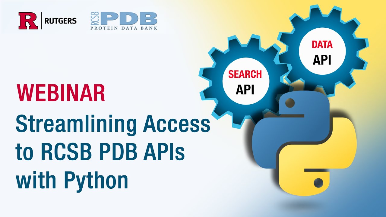 Streamlining Access to RCSB PDB APIs with Python