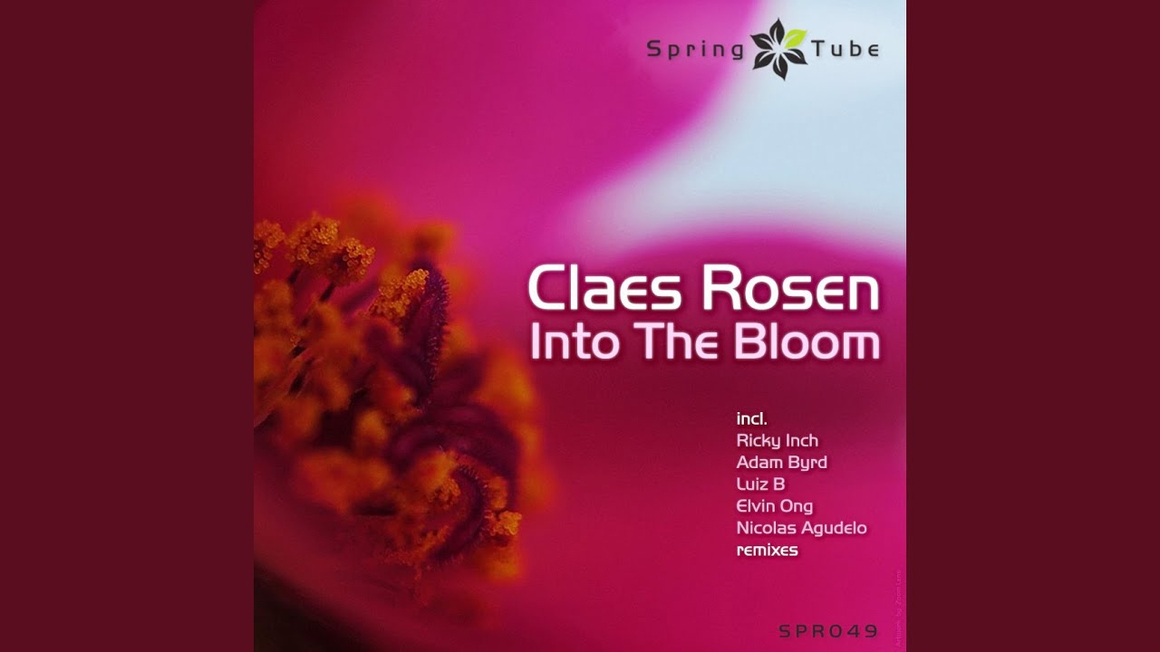 Into the Bloom (Luiz B Remix)