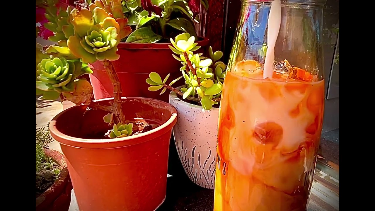 THAI TEA!🤌🏻🤌🏻