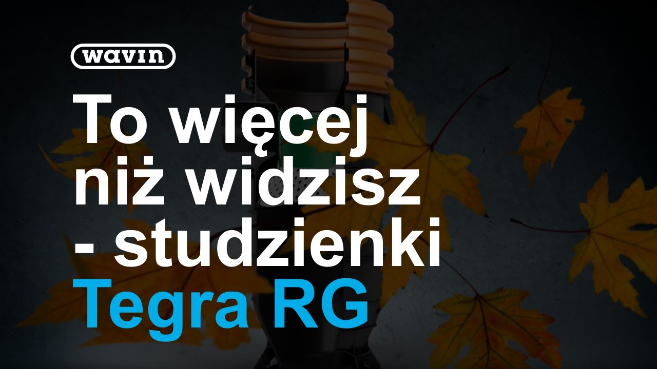 Studzienki wpustoweTegra RG