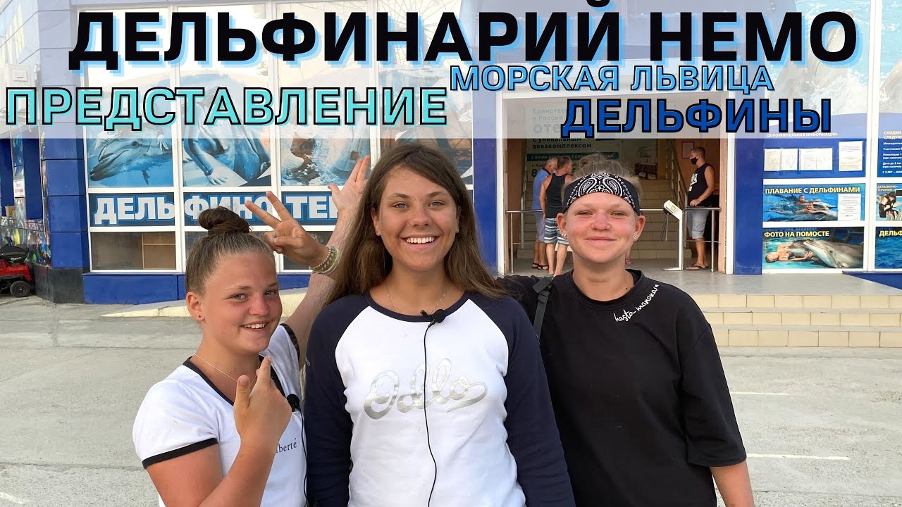 Дельфинарий Немо Голубицкая! Представление. Дельфины. Морская львица!