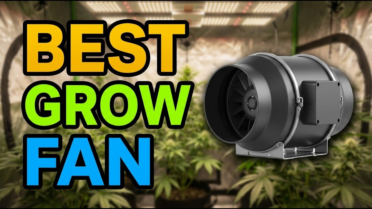 TOP 5 Best 6 Inch Grow Fan 2026
