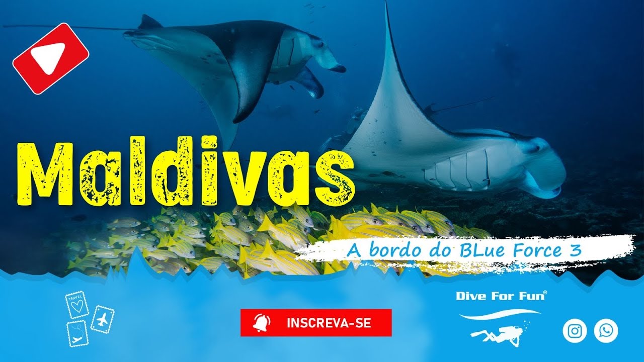 Maldivas • BLUE FORCE - Fev/2025 