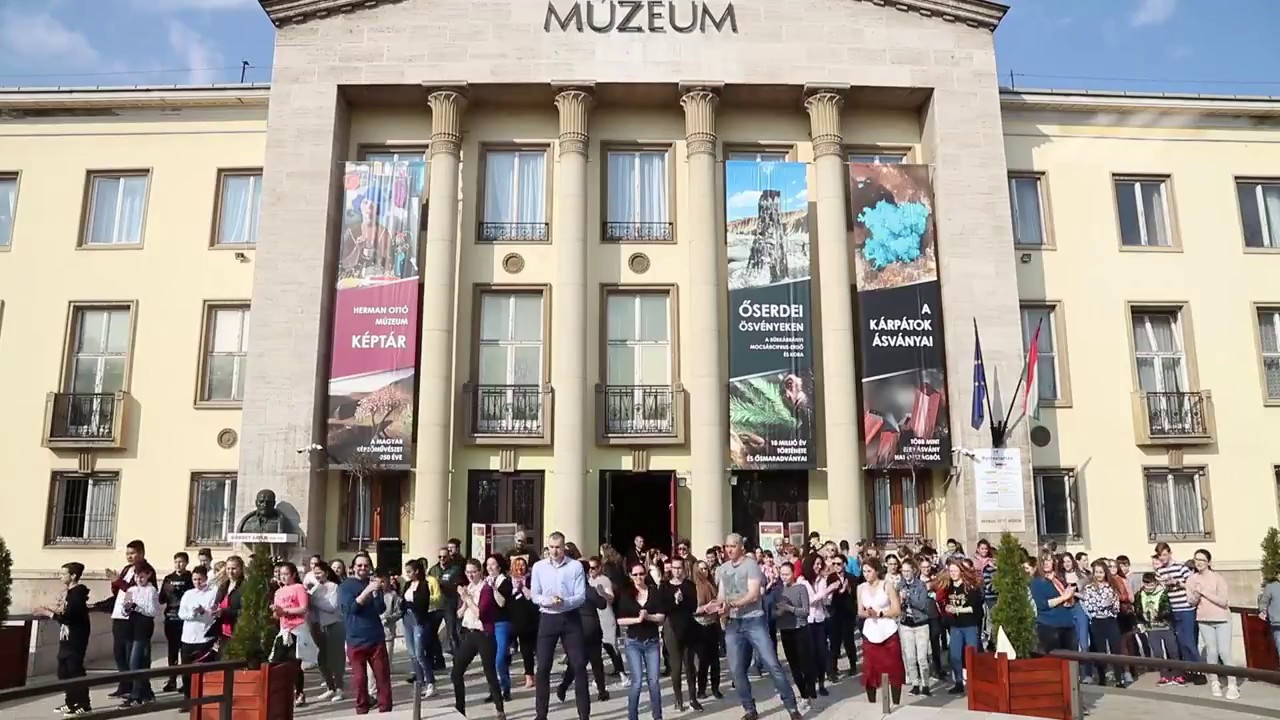 Winner of Museum Dance Off 4: A New Hope - Herman Ott&oacute; M&uacute;zeum, Miskolc, Hungary