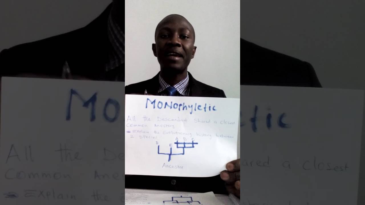 Monophyletic, paraphyletic and polyphyletic