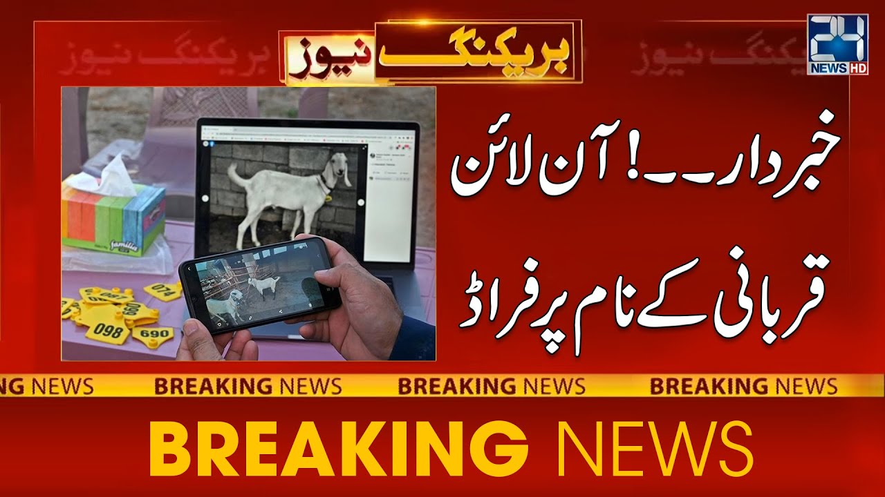 Beware | Online Qurbani Fraud | Hundreds Of Pakistani Fell Prey To Online Qurbani Scams | 24 News HD