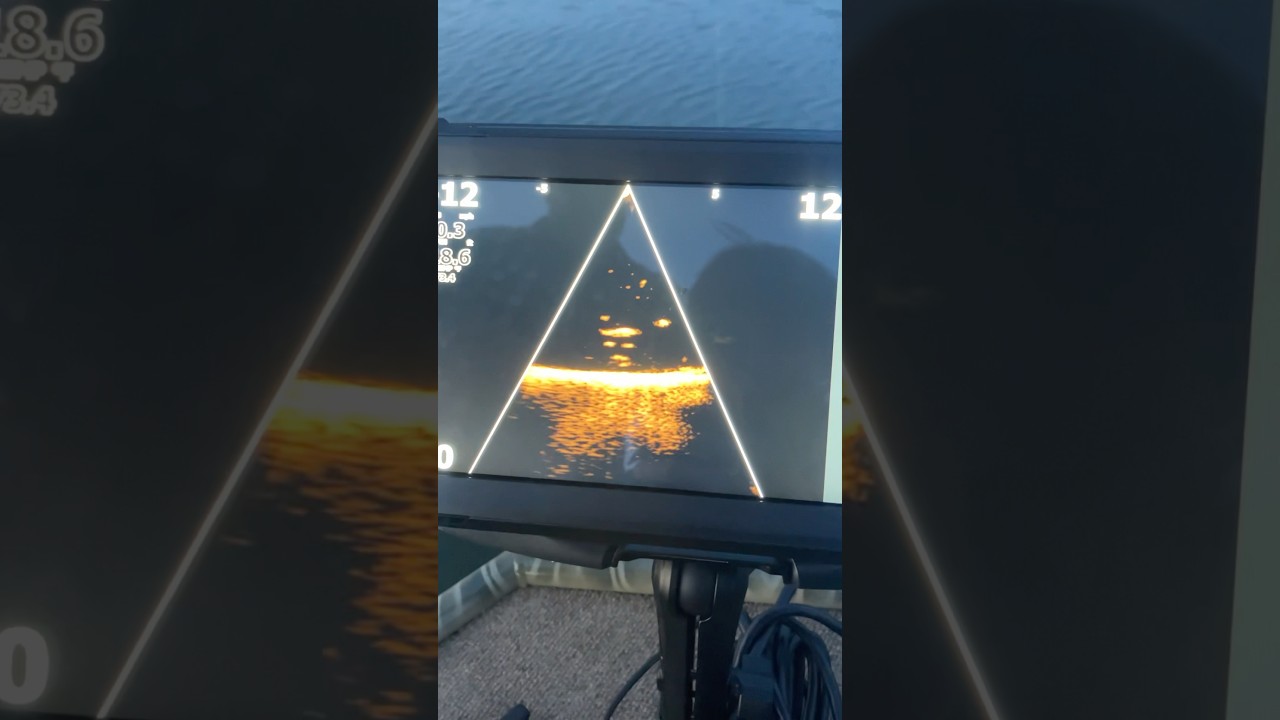 Lowrance Eagle Eye 9 #fishing #shorts #bassfishing #livescope