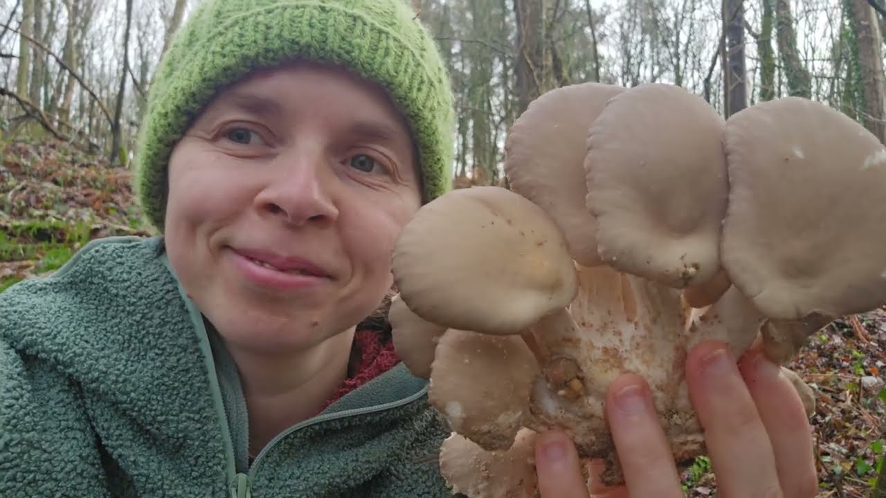 Enjoying the treasures of nature in SW Scotland | Bucurându-ne de comorile naturii în Scoția