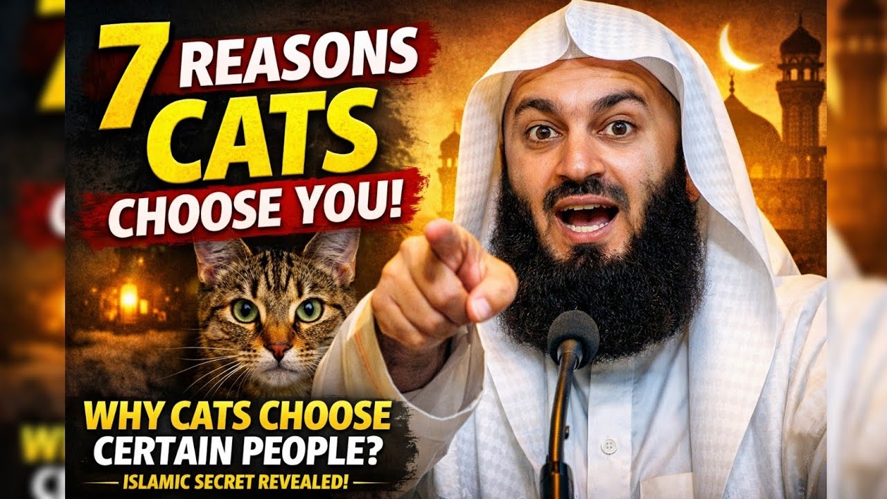  Why Cats Choose Certain People | The Islamic Insight You’ve Never Heard | Mufti Menk Reminder