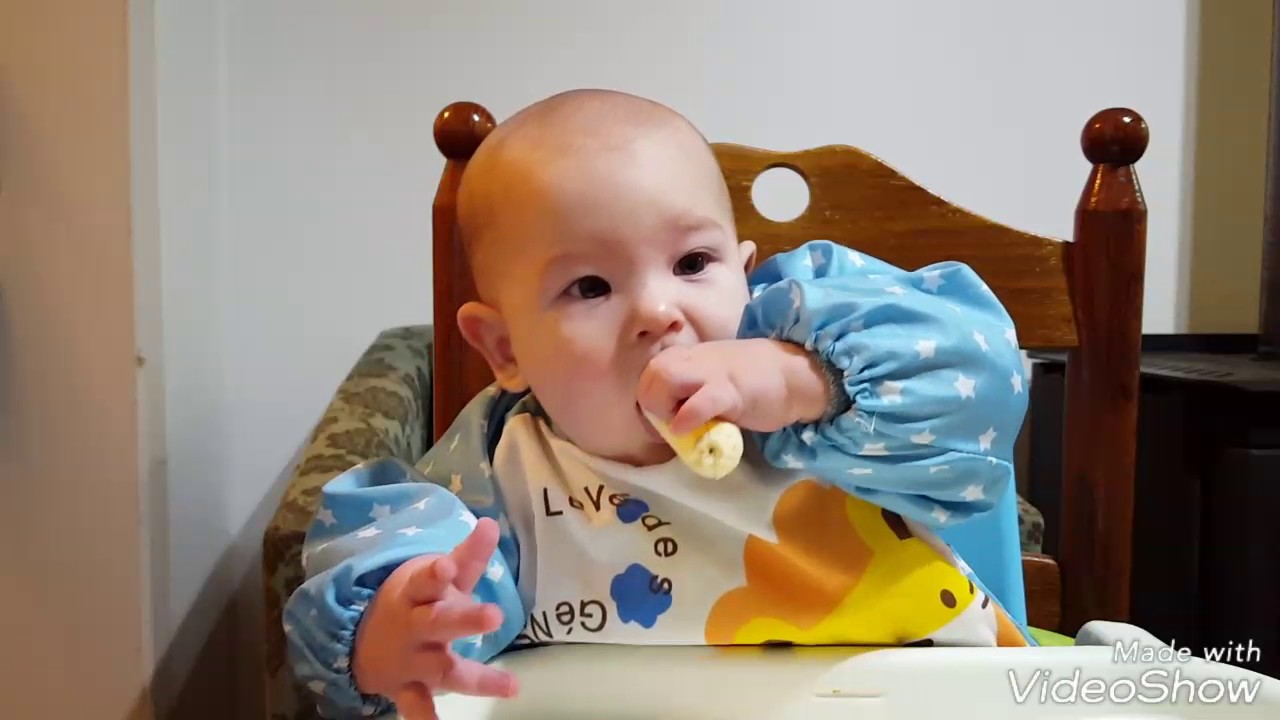 Reflexo de Gag - Introdução alimentar  método  BLW - Benício 6 meses