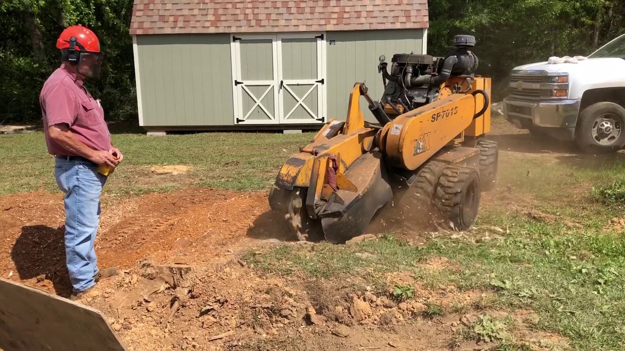 Grinding a BIG STUMP in LESS THAN 3 MINUTES! Carlton SP7015 (Remote Control!)
