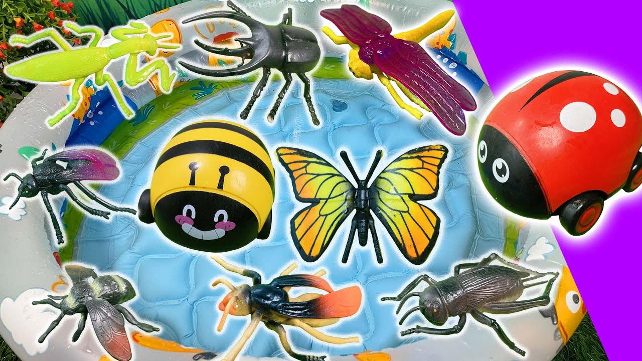 Insects for Kids 🐞 | Learn Names of Bugs: Droganfly, Butterfly, Ladybug, Grasshopper & More!