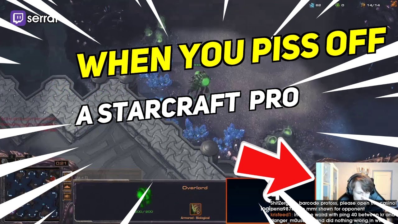 WHEN YOU PISS OFF A STARCRAFT  PRO | Daily StarCraft II Highlights