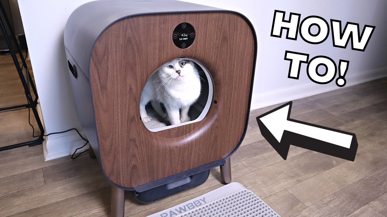 Reviewing the PAWBBY P1 Ultra Self-Cleaning Cat Litter Box (Setup + Demo!)