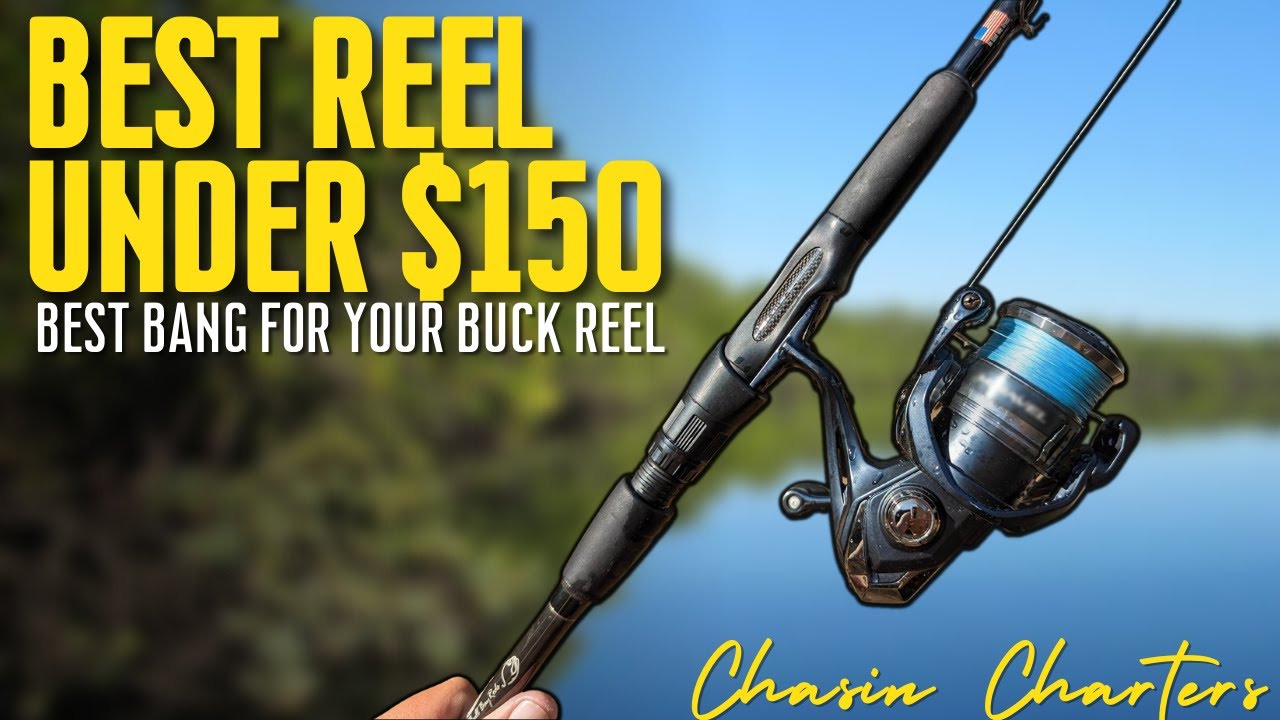 Best fishing reel under $150 - Chasin Charters - Crystal River, FL