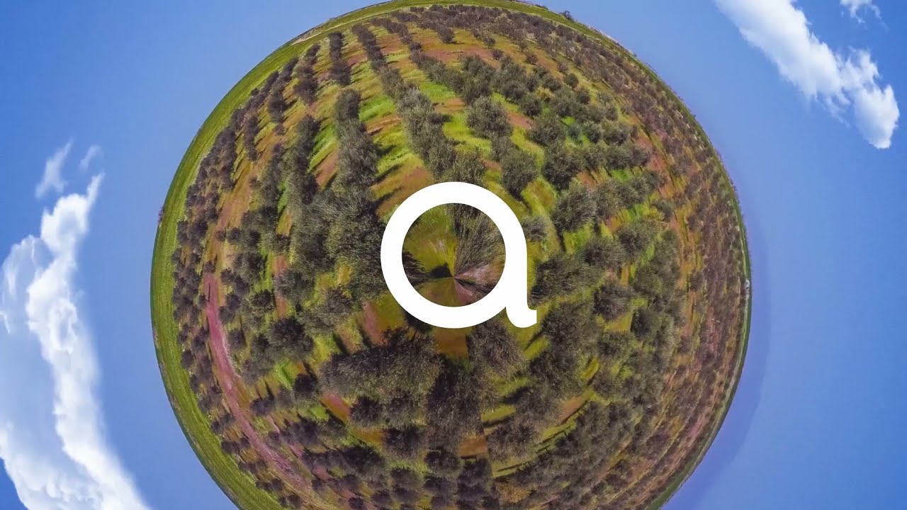 Where and how extra virgin olive oil Atsas is produced? | Organic olive farm in Cyprus