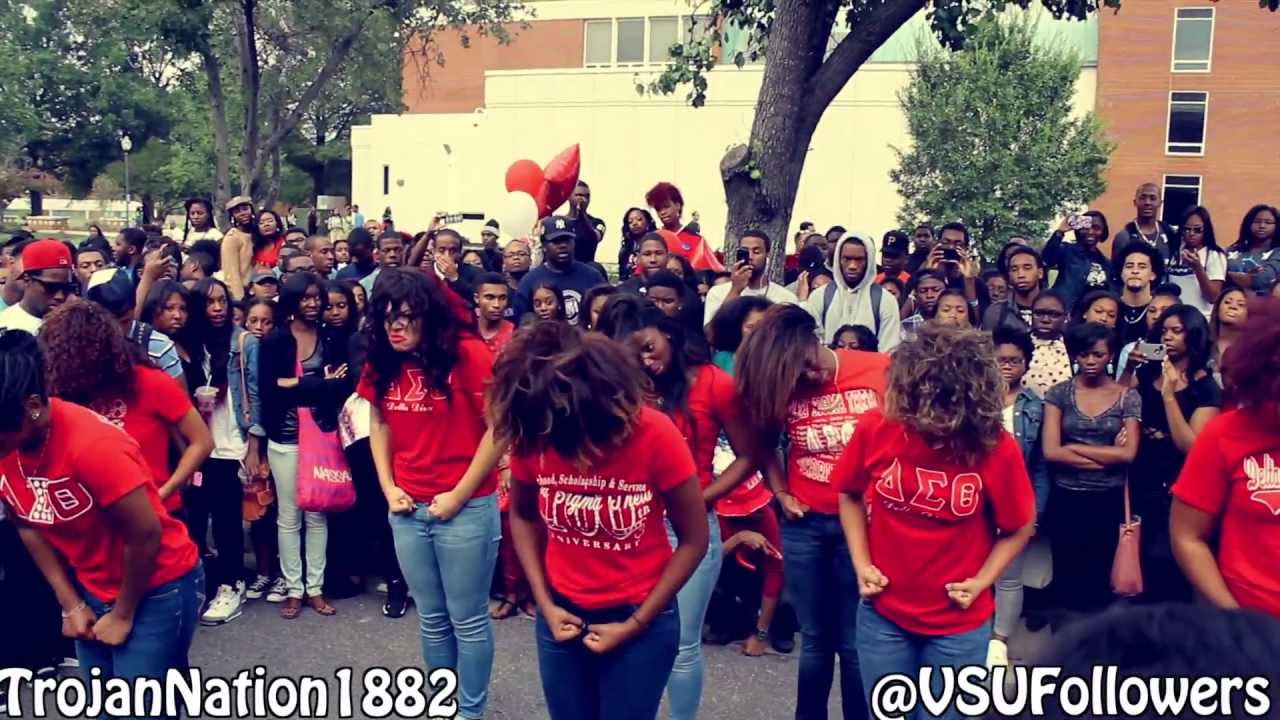 Delta Sigma Theta Sorority Incorporated - Alpha Eta Chapter