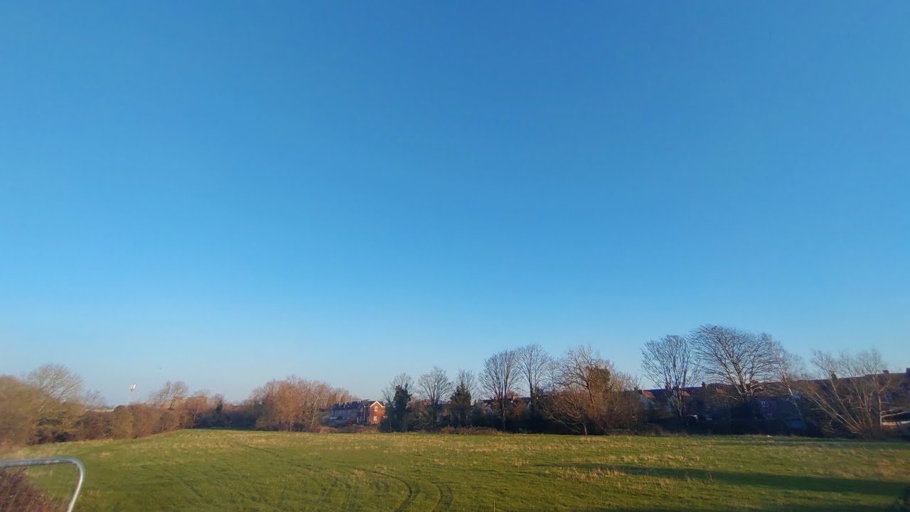 Wall to wall. Blue. And signs of Spring.