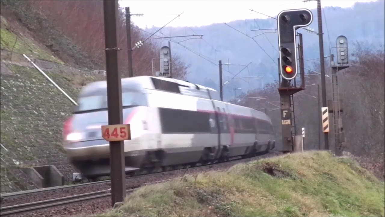 Spot de fin de journée dans les Vosges du Nord