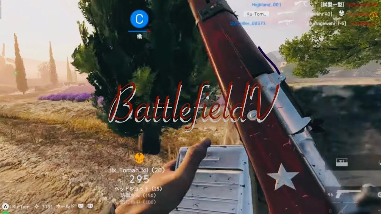【BFV】いまさらセミオートが手に馴染んできましたGewehr43（バトルフィールド５）
