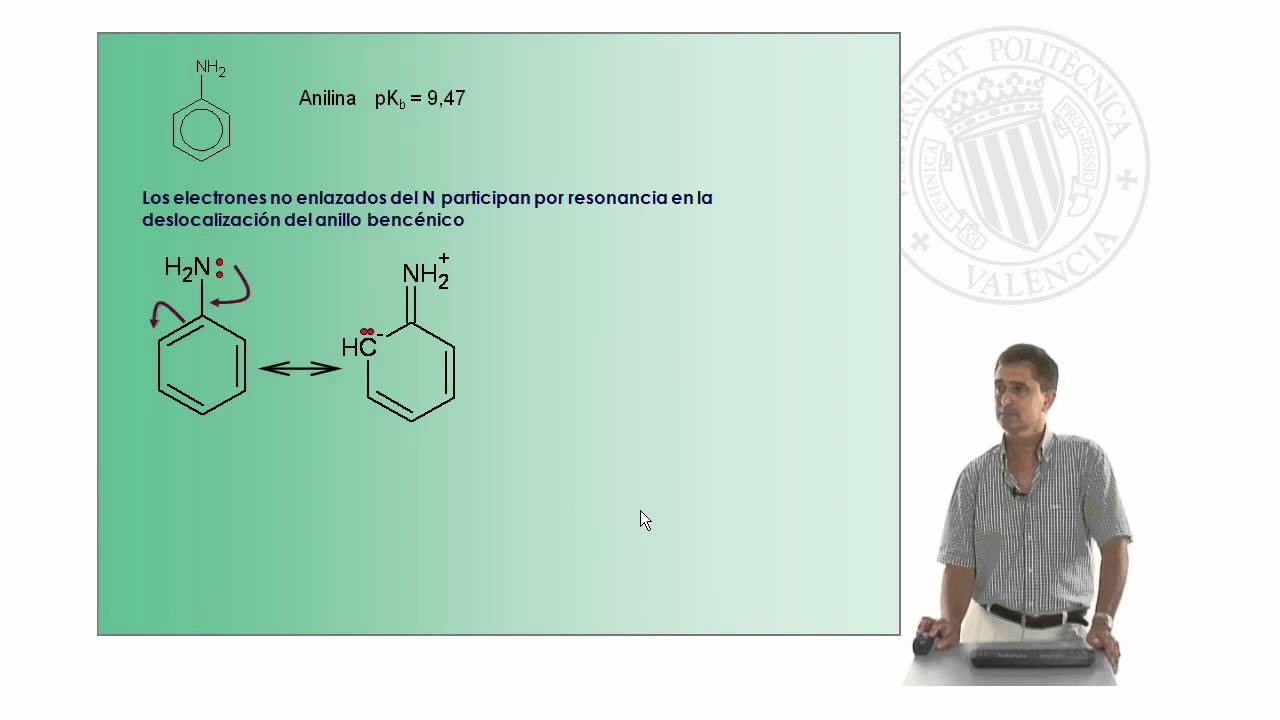 Basicidad de las Aminas |  | UPV