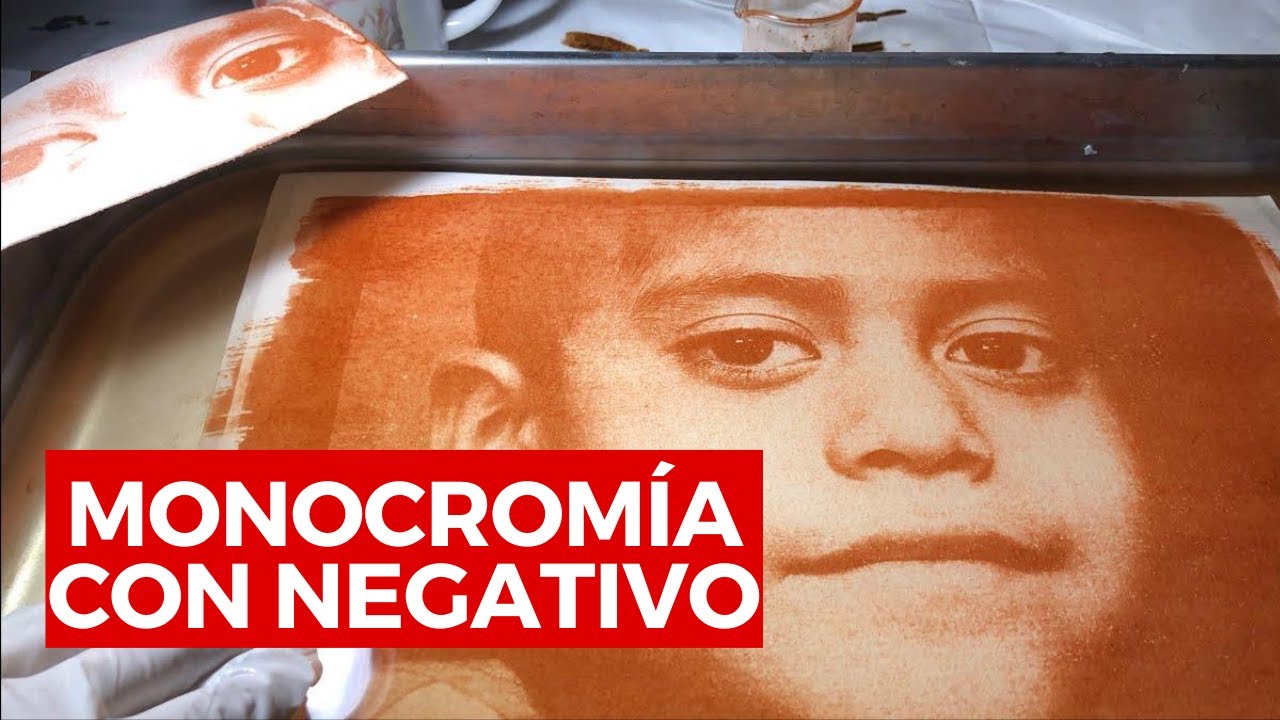 Monocromía con negativo · Taller en línea de Goma Bicromatada · Clase 5