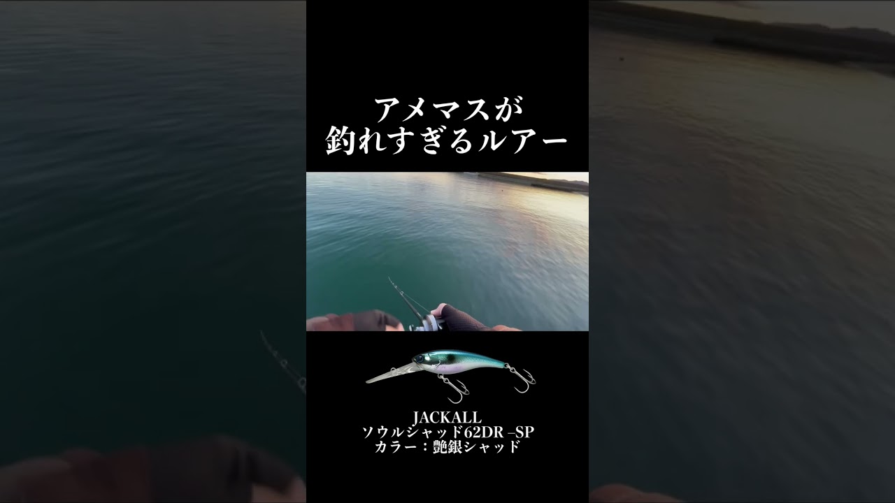 【誰でも釣れる】アメマスが釣れすぎるルアー　#shorts