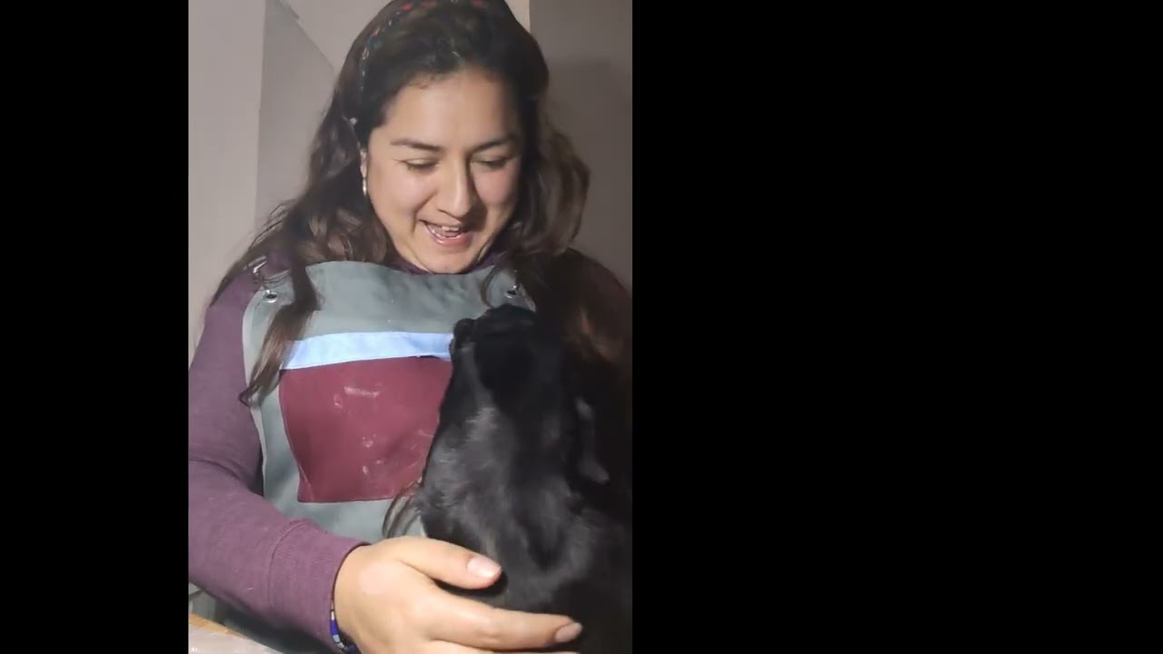 Tutorial de como hacer soñadoras y como desmoldar soñadoras, empieza tu #emprendimiento conmigo