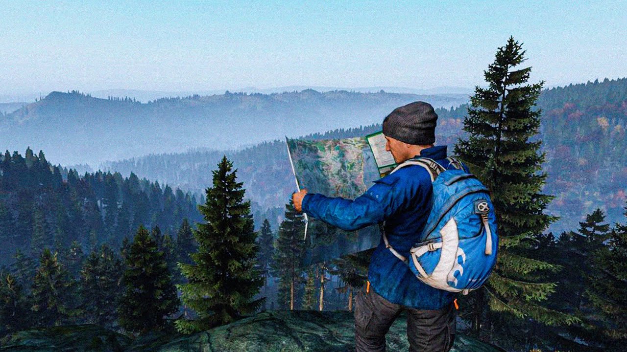 DayZ es serio, no quiero tonterías.