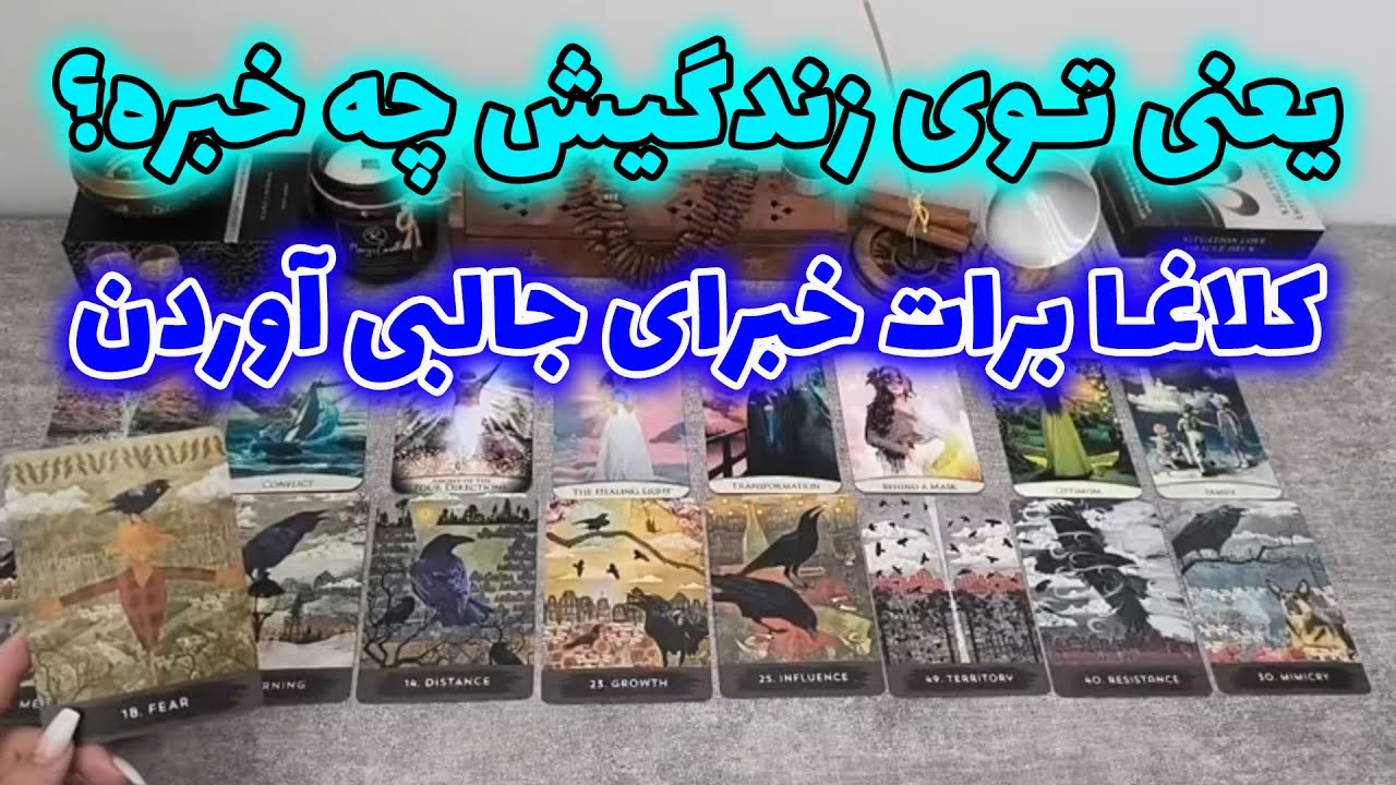 فال شراره - یعنی توی زندگیش چه خبره؟کلاغا برات خبرای جالبی آوردن