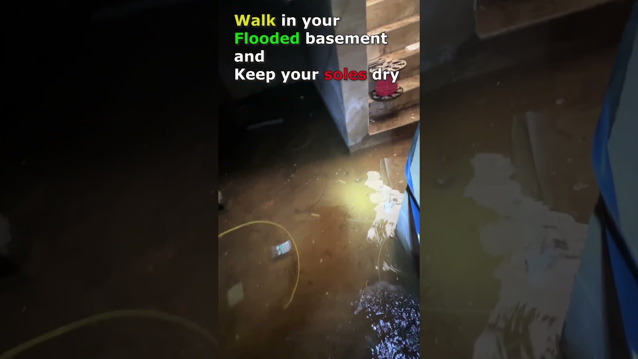 How to Safely Walk in the Flooded Basement without Special Equipment #basement #flooding #safety