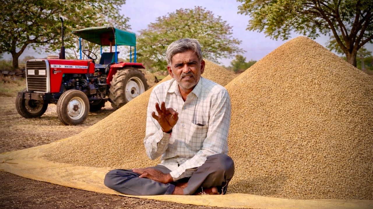 અજમા કઈ રીતે સાફ થાઈ | kaka dikro | Ajwain | Indian Agriculture