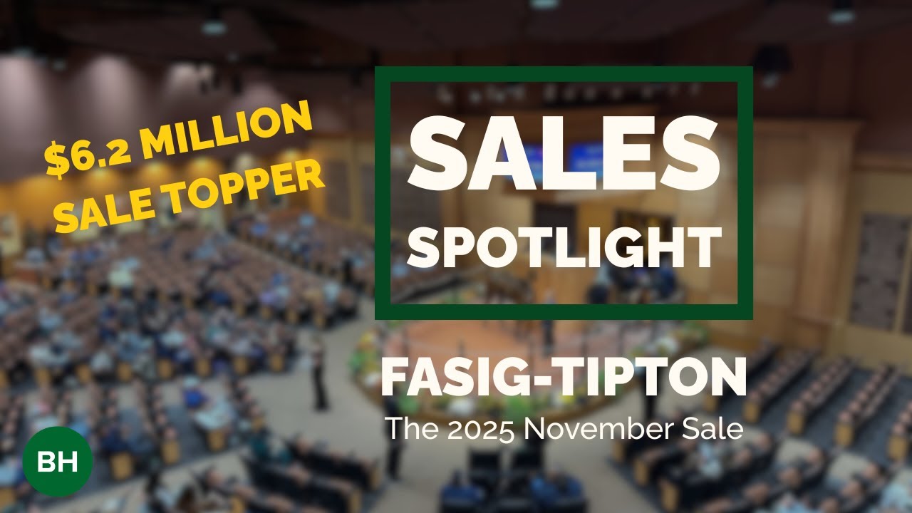 Звезды сошлись на ноябрьской распродаже Fasig-Tipton