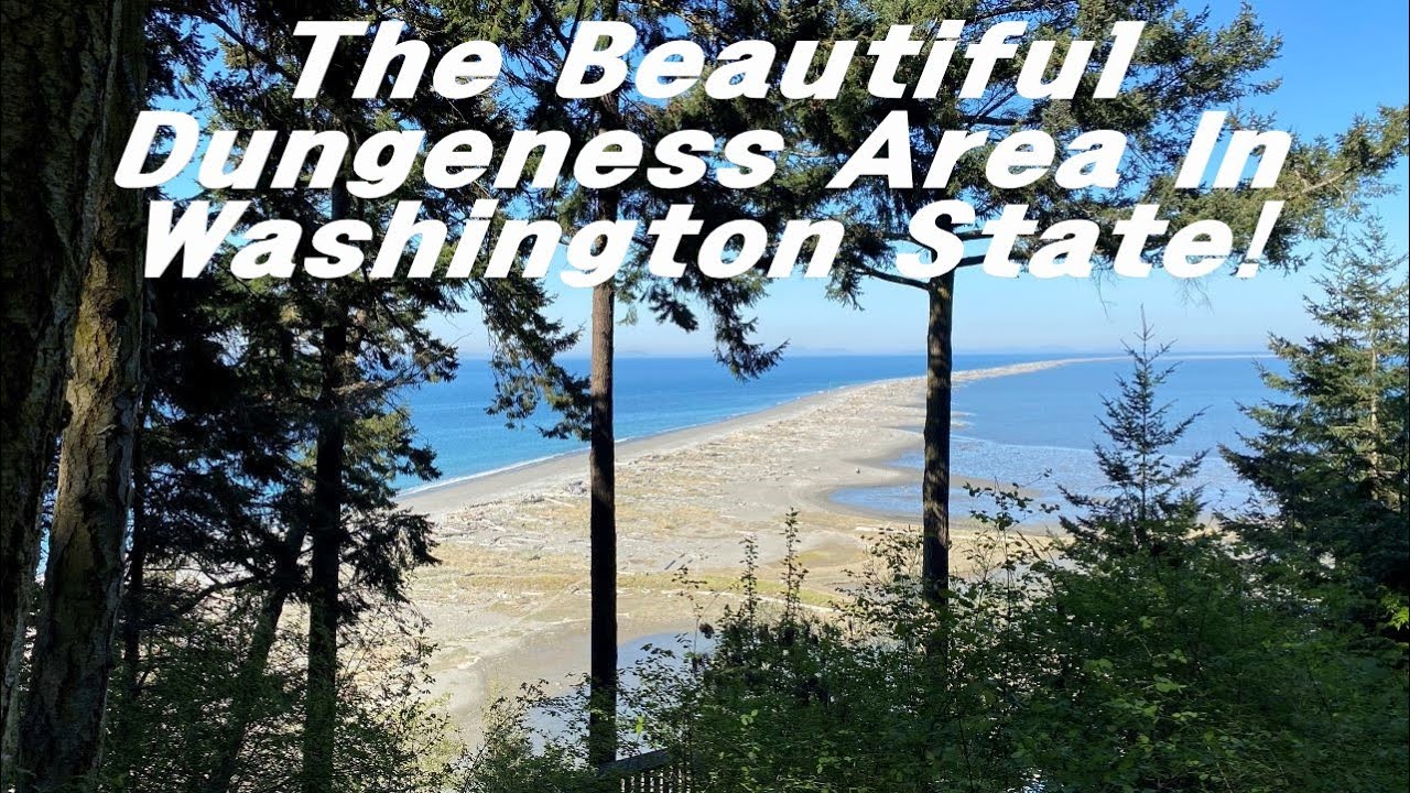 Dungeness National Wildlife Refuge | Washington |  Dungeness Spit | Waterfowl Bald Eagle | Day Trip