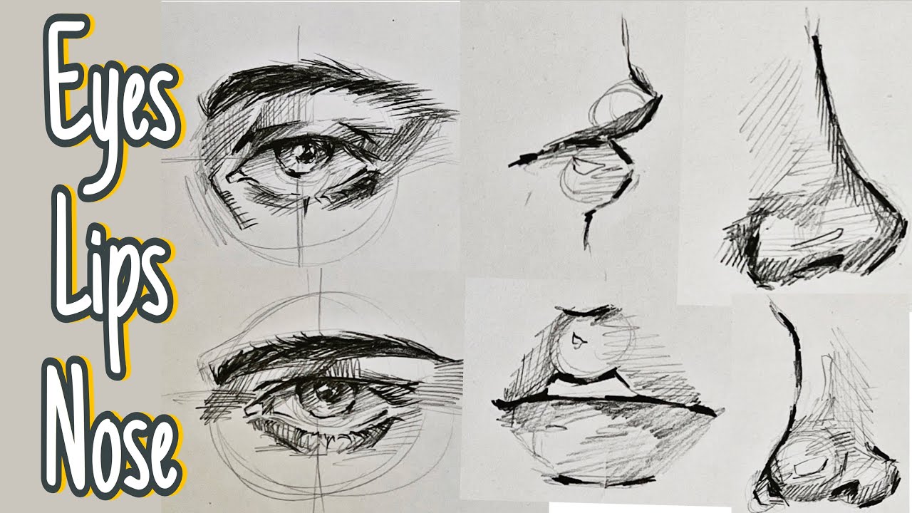 Draw:eyes,lips and nose (draw with me)