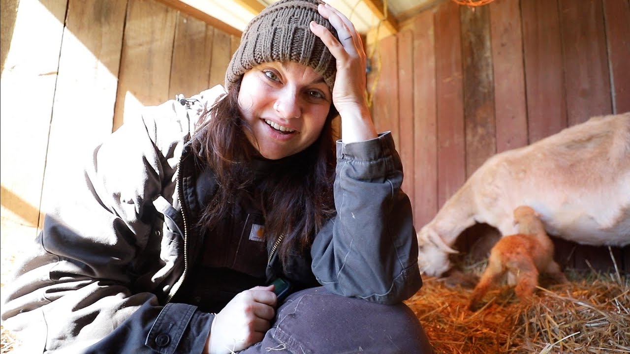 Start to Finish LIVE Goat BIRTH (A Plot Twist and Garden Planting) | VLOG