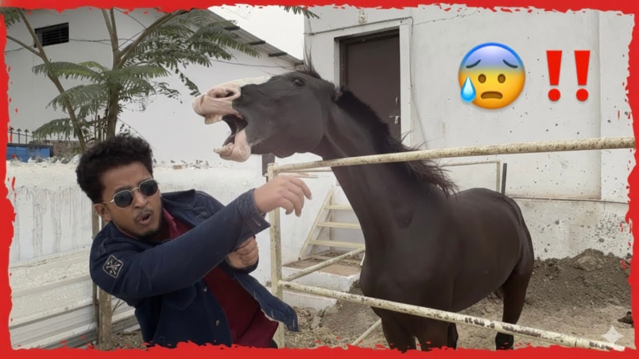 Aaj toh Baal - Baal Bach Gaya 😳 | Danger Moment