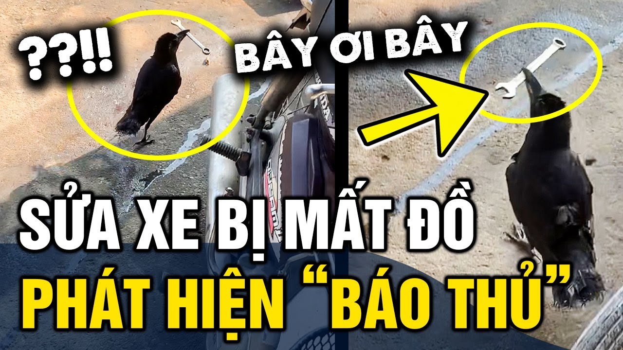 Đang sửa xe thì 'MẤT CẦN CÂU CƠM', thanh niên phát hiện 'THỢ PHỤ' chăm chỉ ĐEM ĐI CẤT | Tin 3 Phút