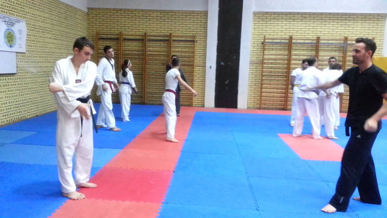 Xhavit Novolani Hapkido Tiger