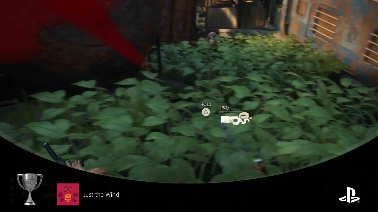 Uncharted: The Lost Legacy - Just The Wind - Trophy