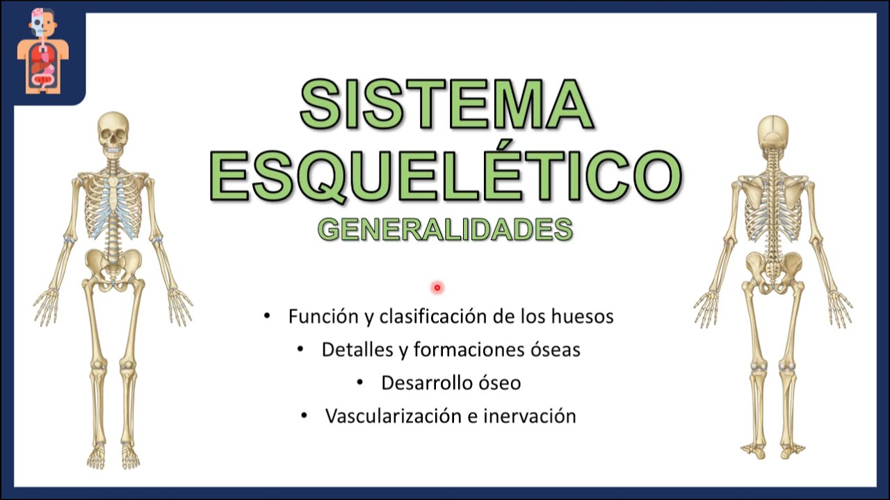 ANATOMÍA - SISTEMA ESQUELÉTICO GENERALIDADES